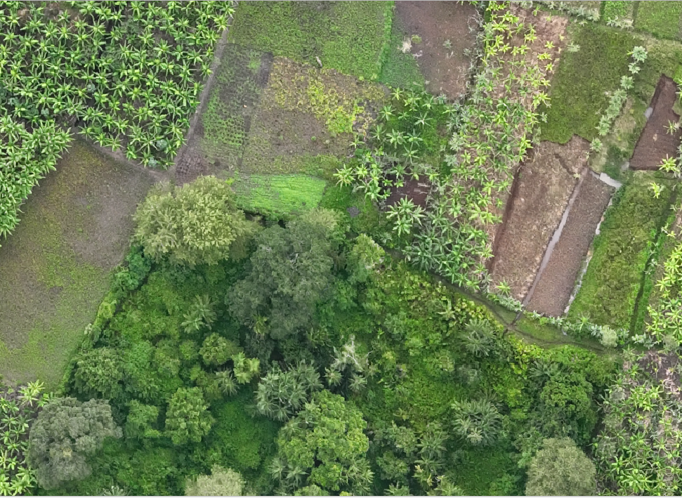 Home drone3